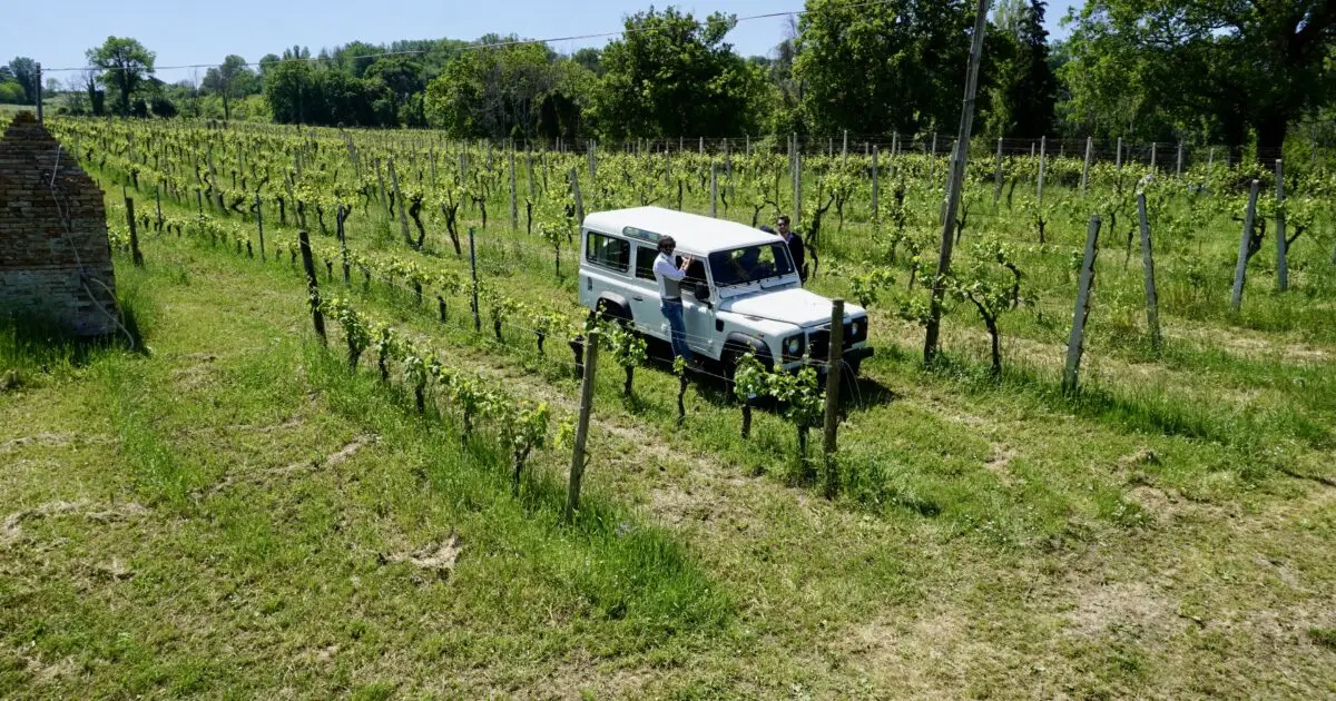 Safari Tour in the vineyards