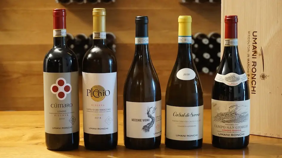 Umani Ronchi - I nostri vini visti da Jancis Robinson e Walter Speller.